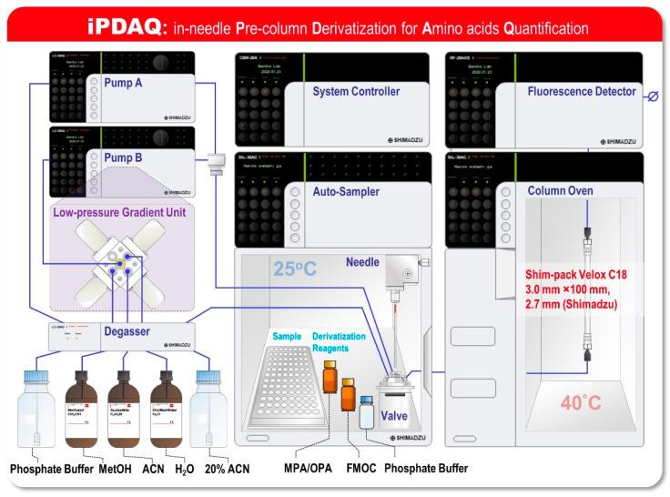 https://cdn.ncbi.nlm.nih.gov/pmc/blobs/6b3b/9504251/6c061e0eb12a/metabolites-12-00807-g001.jpg