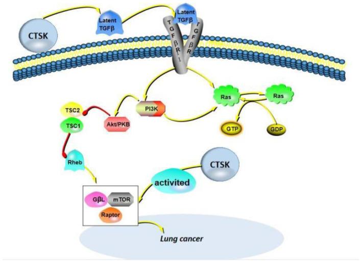 https://cdn.ncbi.nlm.nih.gov/pmc/blobs/6b3d/9406569/c364e431c85c/curroncol-29-00471-g005.jpg