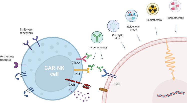 https://cdn.ncbi.nlm.nih.gov/pmc/blobs/6b3e/12162902/cc8b9699be2b/fimmu-16-1603757-g003.jpg