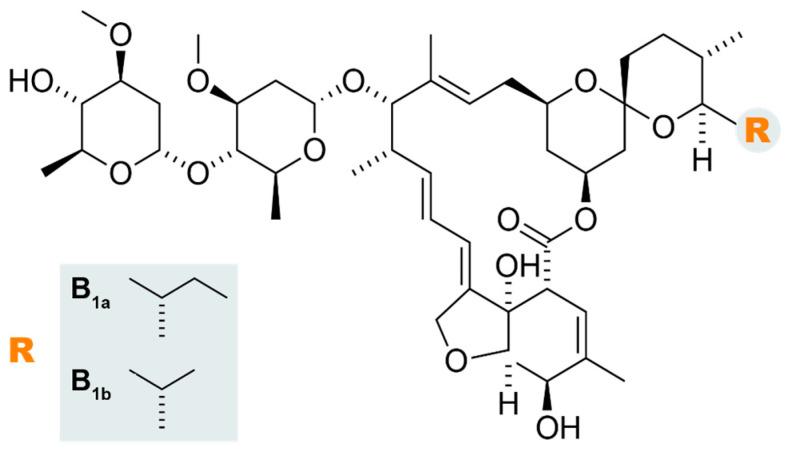 https://cdn.ncbi.nlm.nih.gov/pmc/blobs/6b3f/10974340/9f68fdd3f96e/pharmaceutics-16-00325-g001.jpg