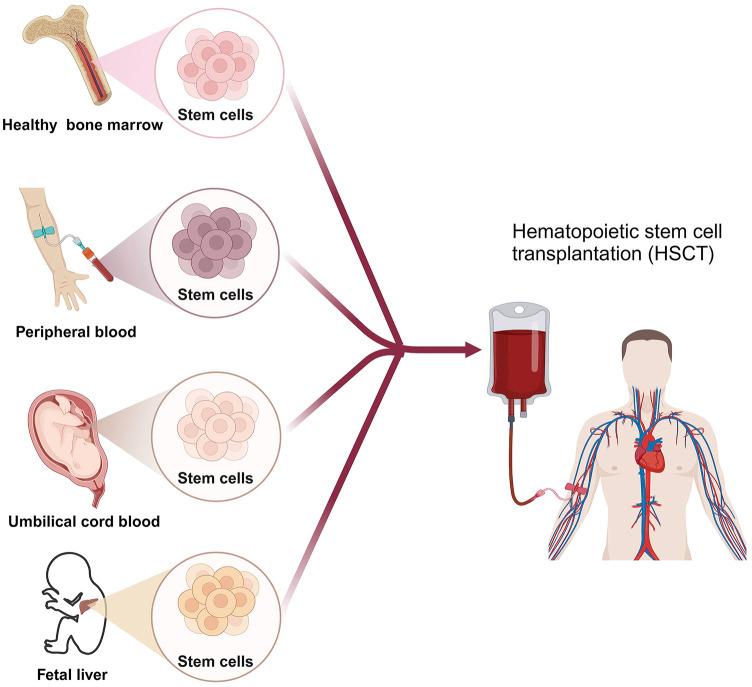 https://cdn.ncbi.nlm.nih.gov/pmc/blobs/6b3f/11059051/2c9d0c079a09/fphar-15-1376955-g002.jpg