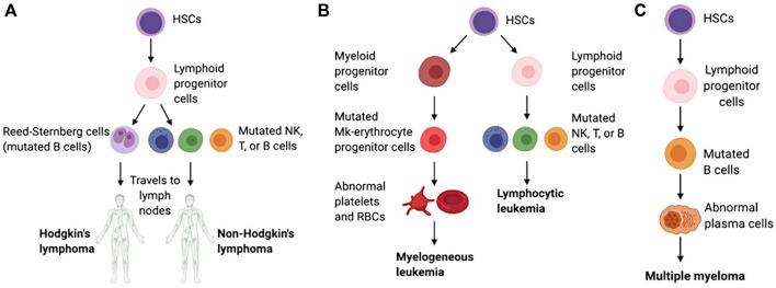 https://cdn.ncbi.nlm.nih.gov/pmc/blobs/6b3f/11059051/6851d1bc9274/fphar-15-1376955-g001.jpg