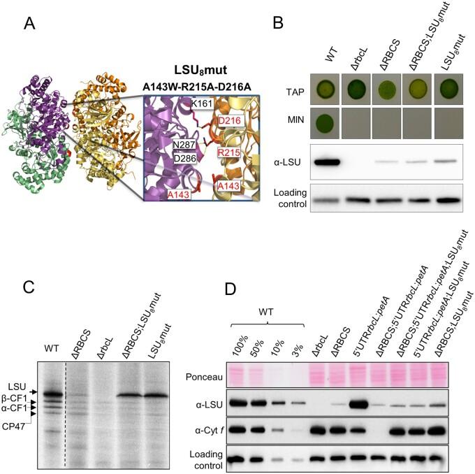 https://cdn.ncbi.nlm.nih.gov/pmc/blobs/6b3f/8254502/ac213b94f22d/koab061f9.jpg