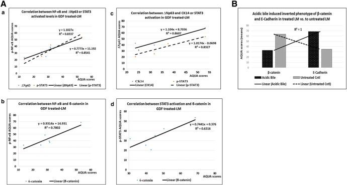 https://cdn.ncbi.nlm.nih.gov/pmc/blobs/6b40/4909705/ced047ac823a/gr4.jpg