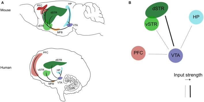https://cdn.ncbi.nlm.nih.gov/pmc/blobs/6b40/9618946/c9f60d777227/fpsyt-13-1039725-g0001.jpg