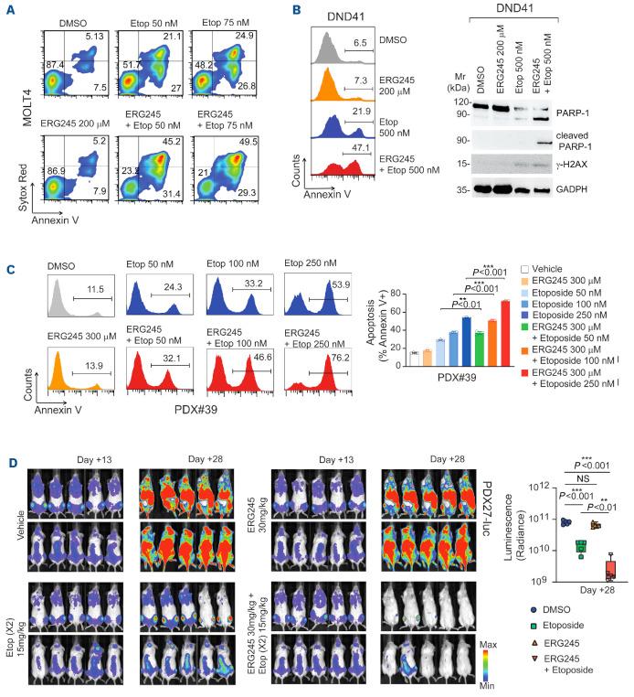 https://cdn.ncbi.nlm.nih.gov/pmc/blobs/6b43/11788623/76737fbf8cbd/110350.fig6.jpg