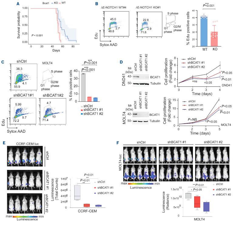 https://cdn.ncbi.nlm.nih.gov/pmc/blobs/6b43/11788623/e6cf1e99a3d1/110350.fig2.jpg