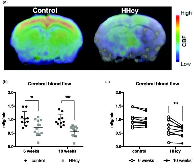 https://cdn.ncbi.nlm.nih.gov/pmc/blobs/6b43/6668175/4400e0764ec8/10.1177_1759091419865788-fig2.jpg