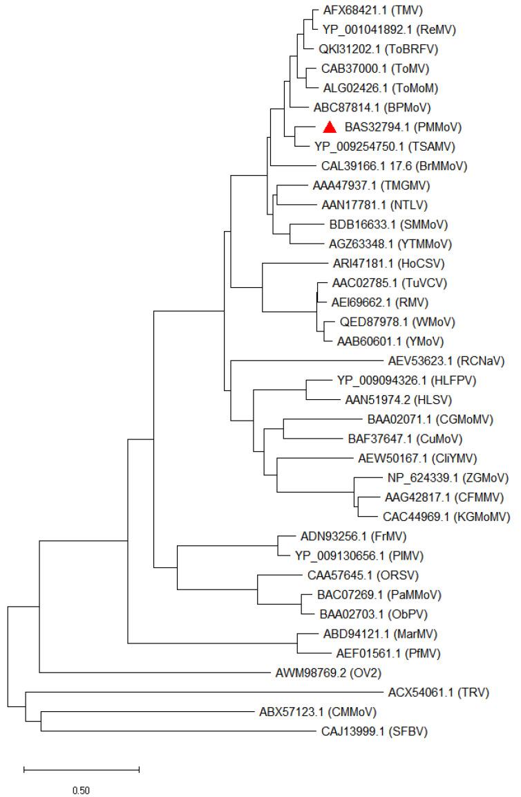 https://cdn.ncbi.nlm.nih.gov/pmc/blobs/6b43/9962380/c851074b221e/viruses-15-00282-g001.jpg