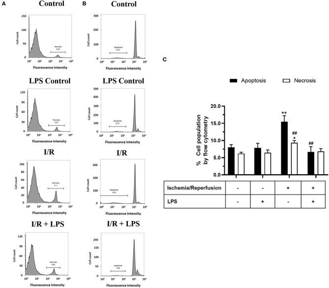 https://cdn.ncbi.nlm.nih.gov/pmc/blobs/6b46/8217466/0e88ba1348f7/fcvm-08-660197-g0003.jpg