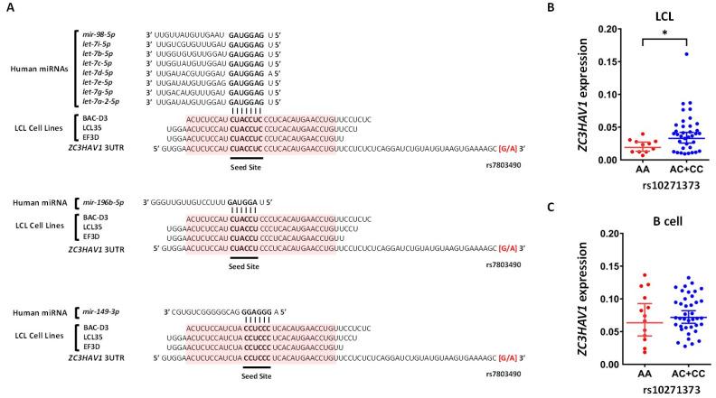 https://cdn.ncbi.nlm.nih.gov/pmc/blobs/6b48/8000127/971dbe1d4b73/ijms-22-02927-g006.jpg