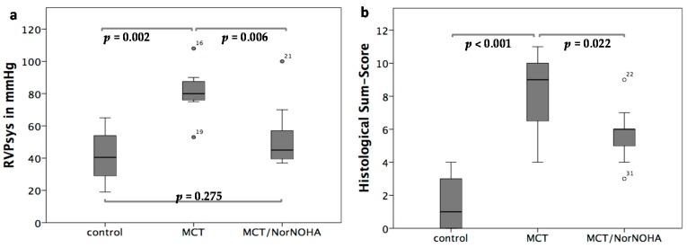 https://cdn.ncbi.nlm.nih.gov/pmc/blobs/6b49/5578001/c228f01a7047/ijms-18-01609-g005.jpg