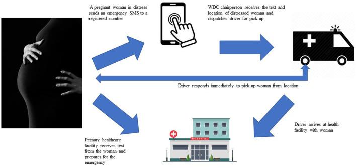 https://cdn.ncbi.nlm.nih.gov/pmc/blobs/6b49/9485539/37fcb411712b/fgwh-03-1002970-g0001.jpg