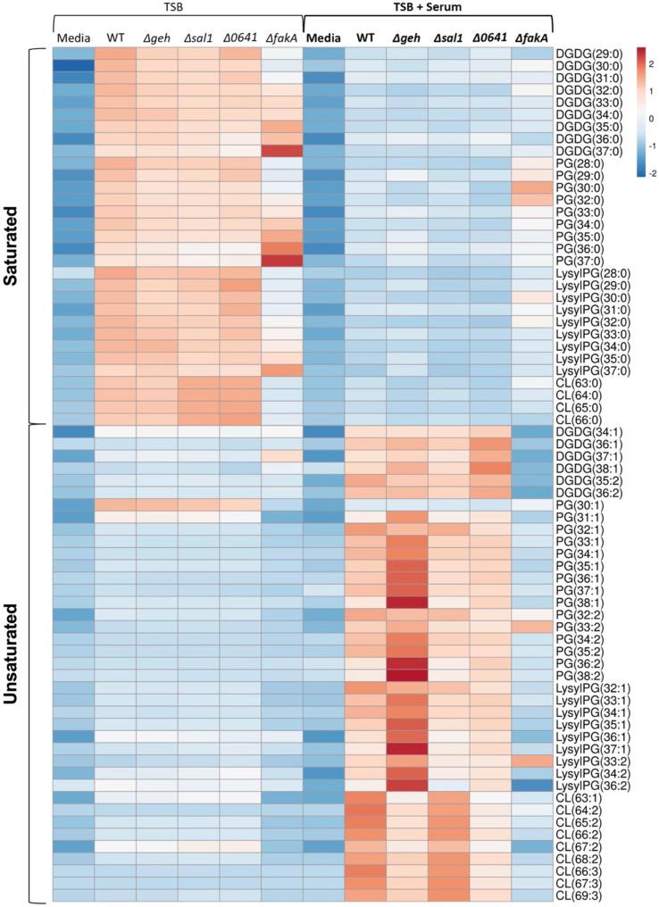 https://cdn.ncbi.nlm.nih.gov/pmc/blobs/6b4a/10732024/53fe59761214/msphere.00368-23.f002.jpg