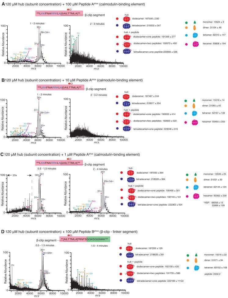 https://cdn.ncbi.nlm.nih.gov/pmc/blobs/6b4b/7538161/1cec2f7b4bee/elife-57784-fig4.jpg