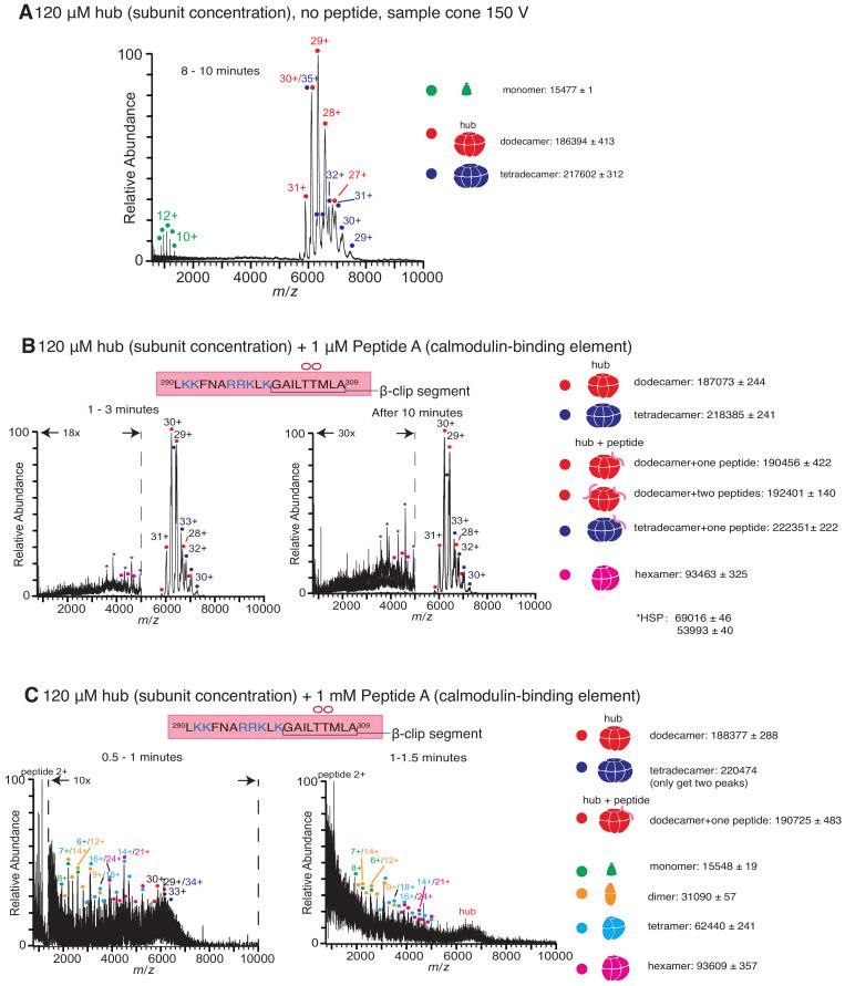 https://cdn.ncbi.nlm.nih.gov/pmc/blobs/6b4b/7538161/1ed82ffeae99/elife-57784-fig2-figsupp1.jpg