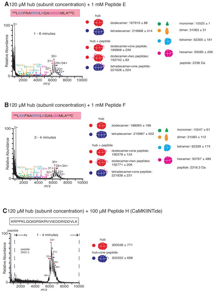 https://cdn.ncbi.nlm.nih.gov/pmc/blobs/6b4b/7538161/378479dad7bf/elife-57784-fig3-figsupp1.jpg