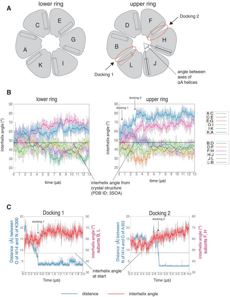 https://cdn.ncbi.nlm.nih.gov/pmc/blobs/6b4b/7538161/40cc154f79ea/elife-57784-fig6.jpg