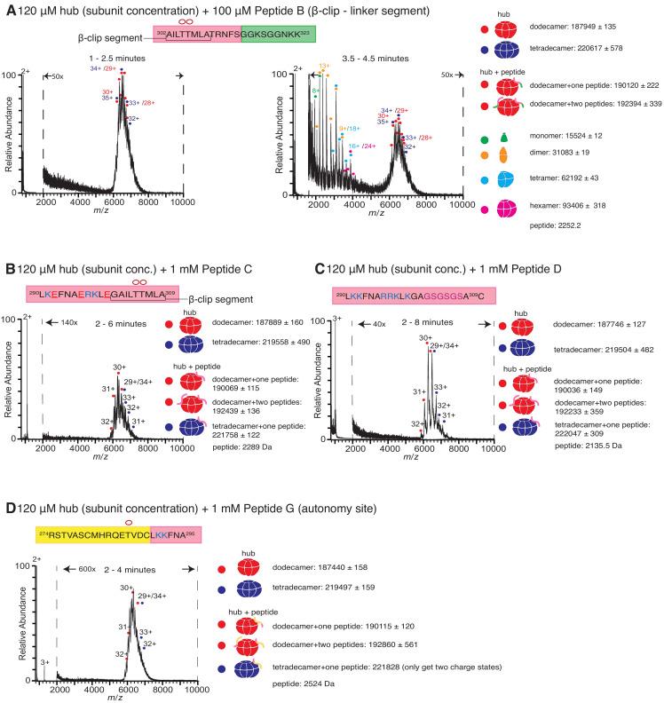 https://cdn.ncbi.nlm.nih.gov/pmc/blobs/6b4b/7538161/615b8b0b572c/elife-57784-fig3.jpg