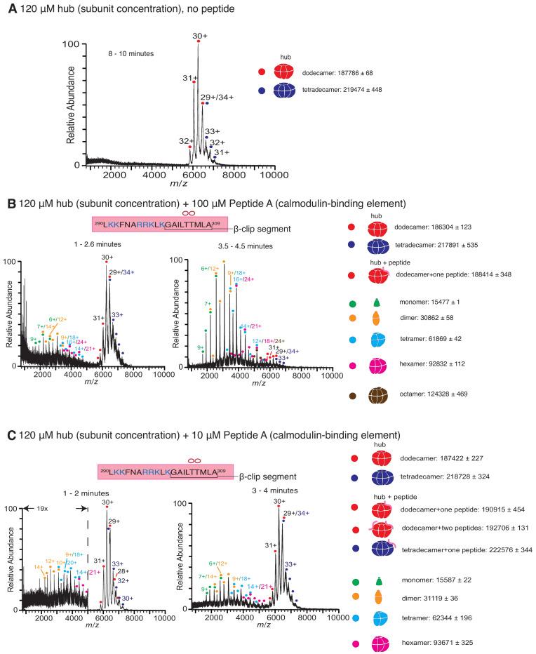 https://cdn.ncbi.nlm.nih.gov/pmc/blobs/6b4b/7538161/85ed16811c59/elife-57784-fig2.jpg