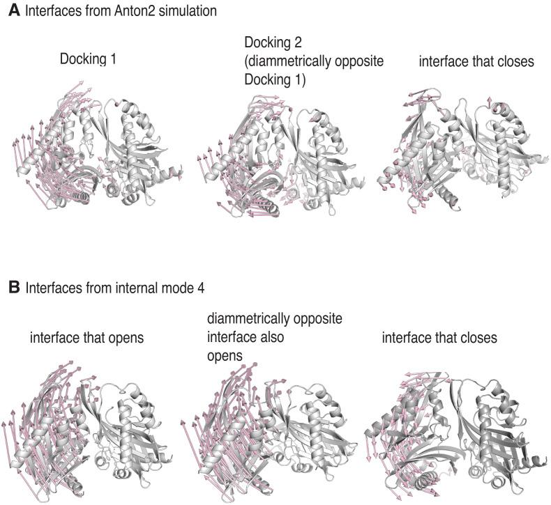 https://cdn.ncbi.nlm.nih.gov/pmc/blobs/6b4b/7538161/d8008ef9325a/elife-57784-fig7.jpg