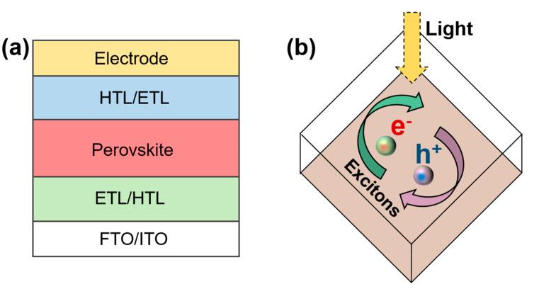 https://cdn.ncbi.nlm.nih.gov/pmc/blobs/6b4c/8003181/e1442abd9e0a/nanomaterials-11-00775-g003.jpg