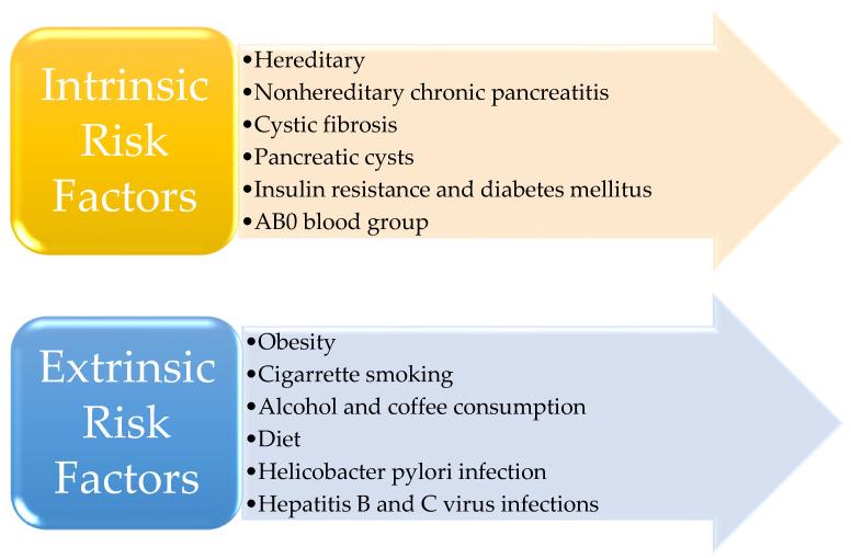 https://cdn.ncbi.nlm.nih.gov/pmc/blobs/6b4c/9914010/04fa2b5f61f8/diagnostics-13-00369-g001.jpg