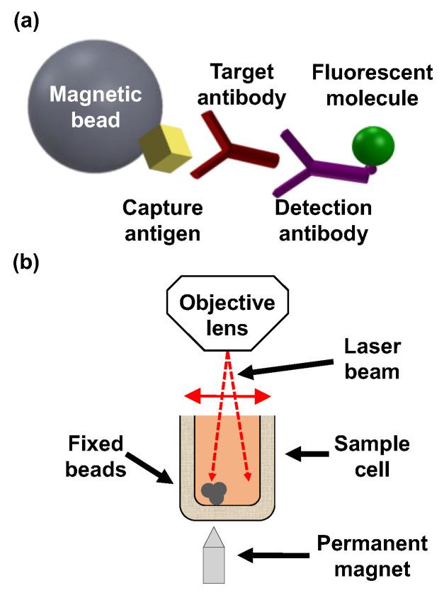 https://cdn.ncbi.nlm.nih.gov/pmc/blobs/6b4d/12293919/bc5e5a1d8711/biosensors-15-00453-g001.jpg