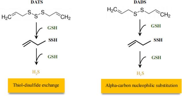https://cdn.ncbi.nlm.nih.gov/pmc/blobs/6b4e/10917771/7fe2efe76afe/41420_2024_1868_Fig4_HTML.jpg