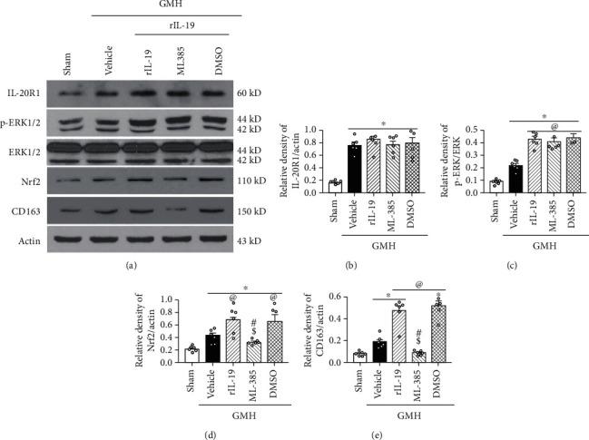 https://cdn.ncbi.nlm.nih.gov/pmc/blobs/6b4f/7837781/0134602b5eec/OMCL2021-5913424.010.jpg