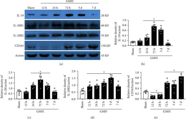 https://cdn.ncbi.nlm.nih.gov/pmc/blobs/6b4f/7837781/5efad8c6a3de/OMCL2021-5913424.002.jpg