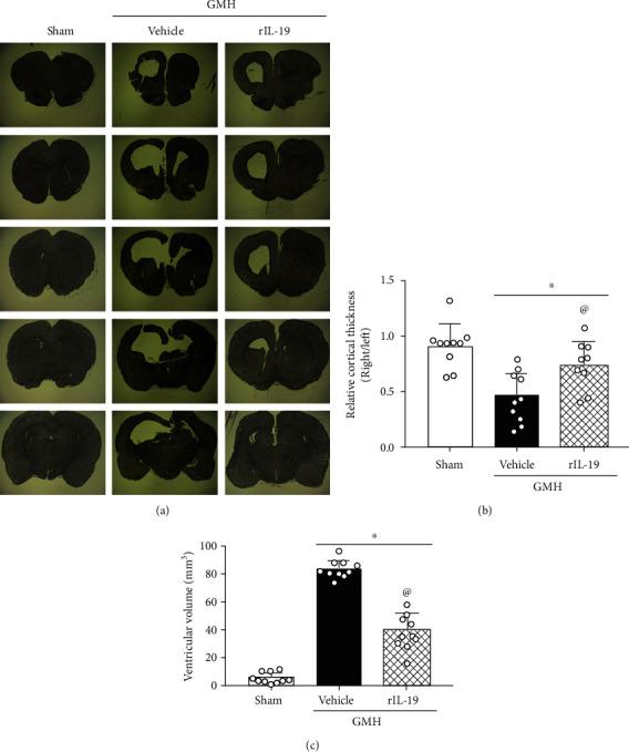 https://cdn.ncbi.nlm.nih.gov/pmc/blobs/6b4f/7837781/c9c0fc942a10/OMCL2021-5913424.008.jpg