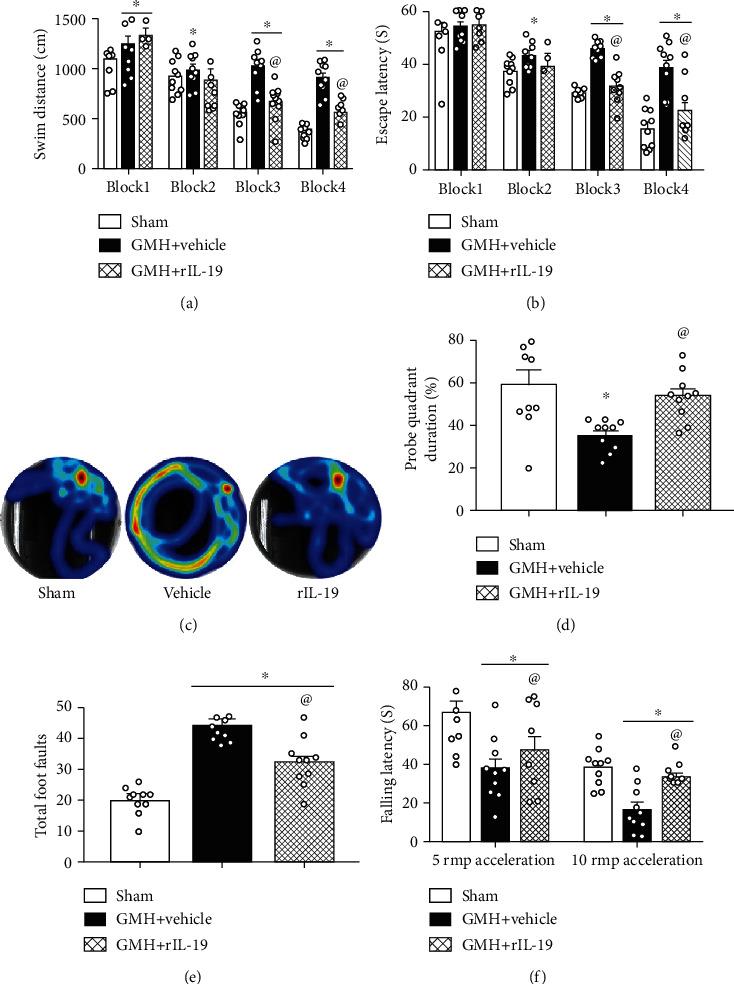 https://cdn.ncbi.nlm.nih.gov/pmc/blobs/6b4f/7837781/e5a233ee6fd1/OMCL2021-5913424.005.jpg
