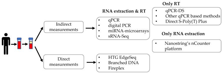 https://cdn.ncbi.nlm.nih.gov/pmc/blobs/6b51/7865473/d29d1c8321d8/ijms-22-01176-g002.jpg