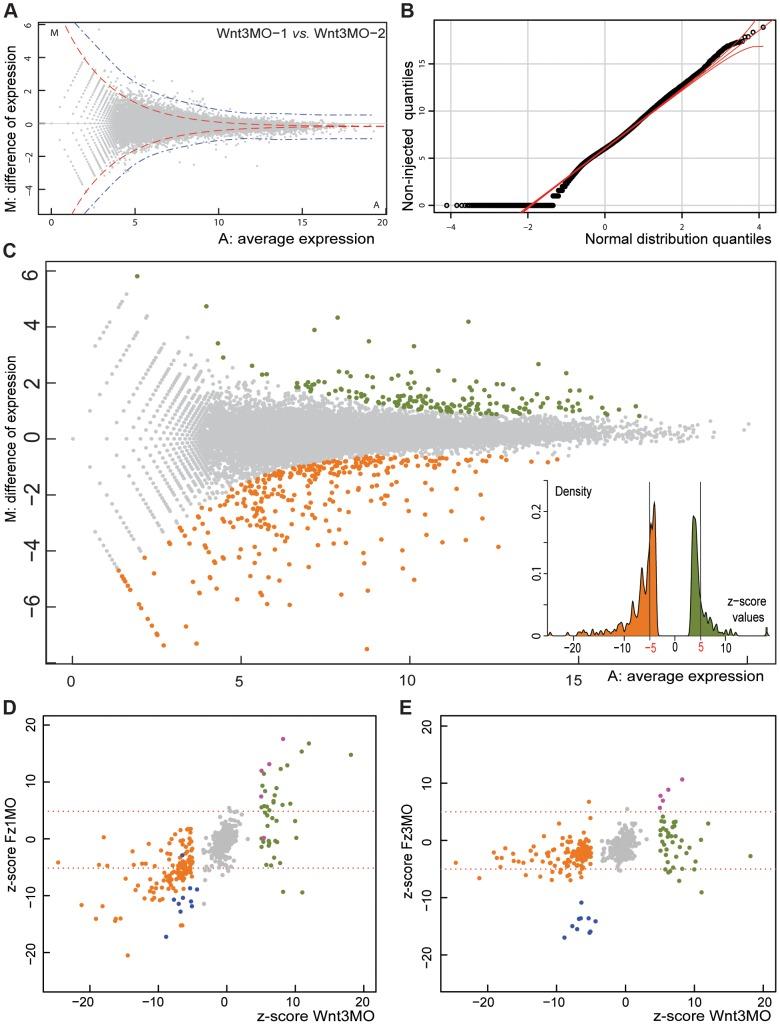 https://cdn.ncbi.nlm.nih.gov/pmc/blobs/6b57/4169000/0e1c15436a84/pgen.1004590.g001.jpg