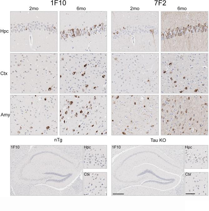 https://cdn.ncbi.nlm.nih.gov/pmc/blobs/6b59/12141574/b96a9357614f/41598_2025_4291_Fig3_HTML.jpg