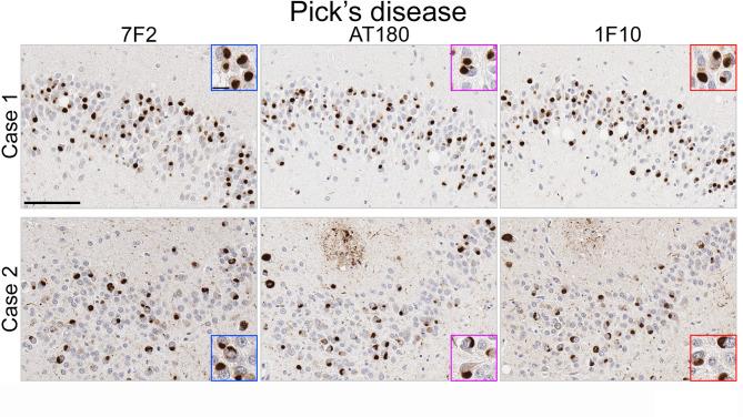 https://cdn.ncbi.nlm.nih.gov/pmc/blobs/6b59/12141574/dae6ab420677/41598_2025_4291_Fig6_HTML.jpg