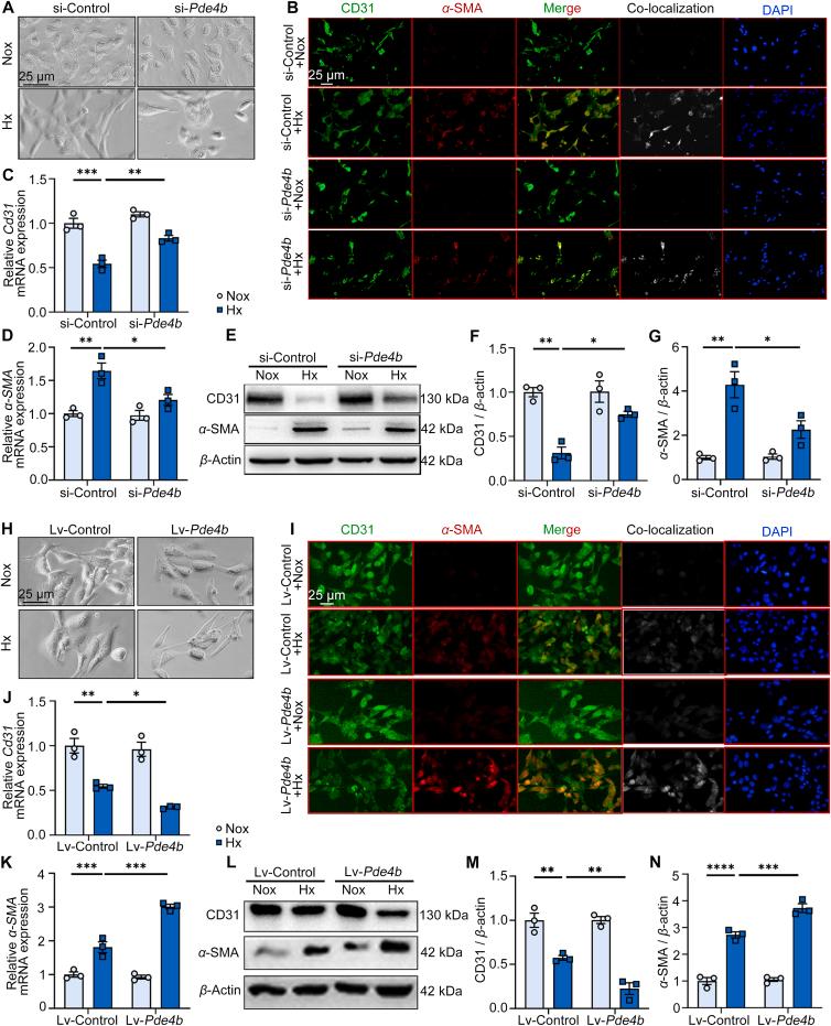 https://cdn.ncbi.nlm.nih.gov/pmc/blobs/6b5c/10985131/0ed382b2b31f/gr5.jpg