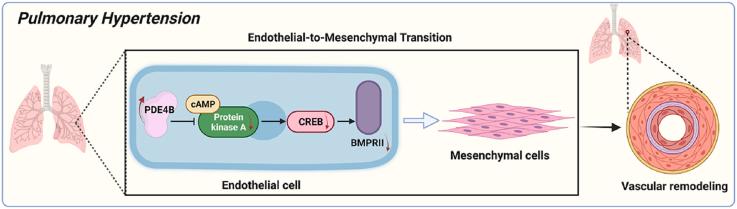 https://cdn.ncbi.nlm.nih.gov/pmc/blobs/6b5c/10985131/549c16702847/ga1.jpg