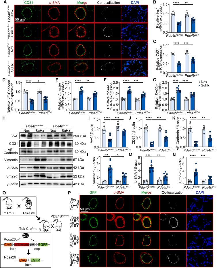 https://cdn.ncbi.nlm.nih.gov/pmc/blobs/6b5c/10985131/a26a8fdfb490/gr4.jpg
