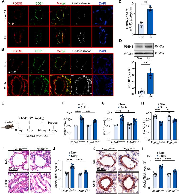 https://cdn.ncbi.nlm.nih.gov/pmc/blobs/6b5c/10985131/c2c67368d409/gr3.jpg