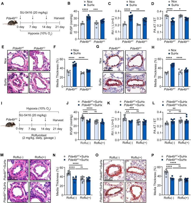 https://cdn.ncbi.nlm.nih.gov/pmc/blobs/6b5c/10985131/cffa42d82534/gr2.jpg
