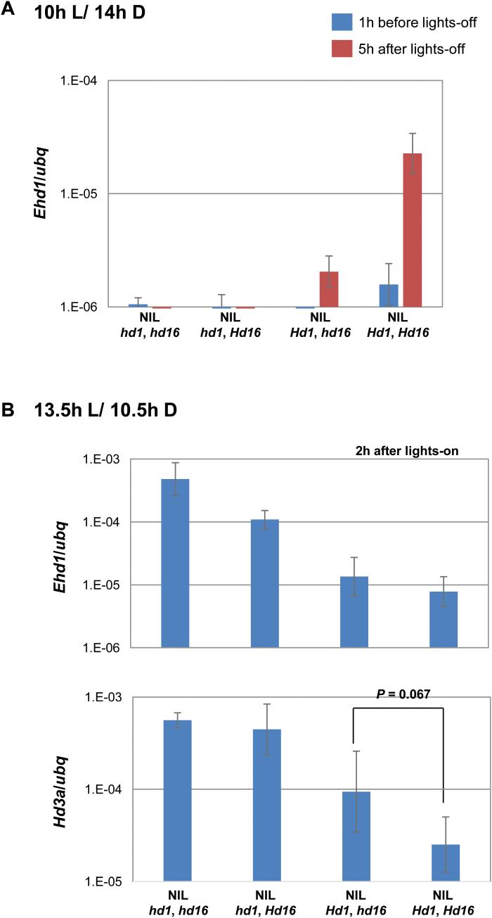 https://cdn.ncbi.nlm.nih.gov/pmc/blobs/6b5c/5853454/bb0c6731da4d/erx41206.jpg