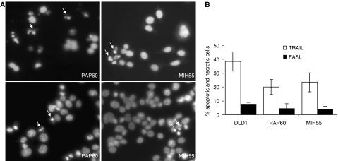 https://cdn.ncbi.nlm.nih.gov/pmc/blobs/6b5d/2359667/4f97358d6724/6603835f4.jpg