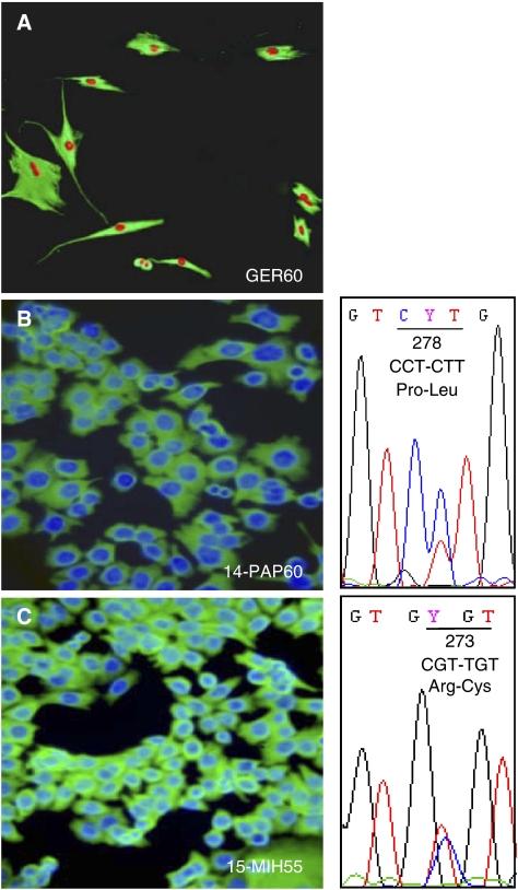 https://cdn.ncbi.nlm.nih.gov/pmc/blobs/6b5d/2359667/ee14f20ce2af/6603835f1.jpg