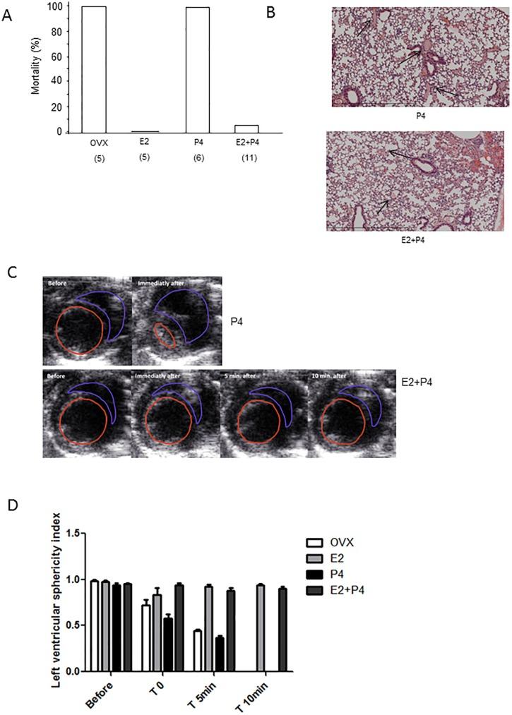 https://cdn.ncbi.nlm.nih.gov/pmc/blobs/6b5e/5423617/d2d593e19965/pone.0177043.g003.jpg