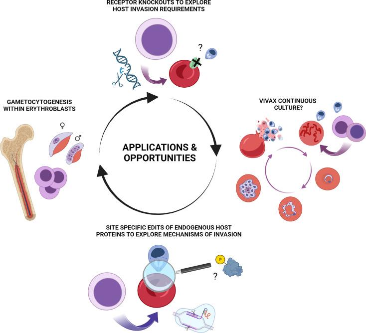 https://cdn.ncbi.nlm.nih.gov/pmc/blobs/6b5e/9702814/5789fdf324d9/fcimb-12-1039520-g002.jpg
