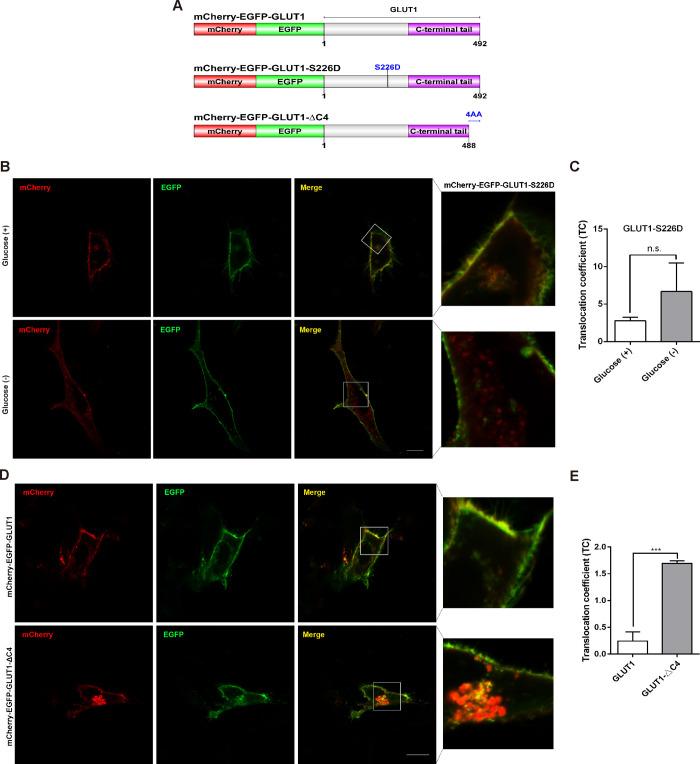 https://cdn.ncbi.nlm.nih.gov/pmc/blobs/6b60/7345384/171c2f7a315e/ao0c01054_0002.jpg