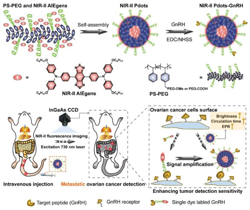 https://cdn.ncbi.nlm.nih.gov/pmc/blobs/6b61/12024575/1e8cfb473192/biosensors-15-00203-g003.jpg