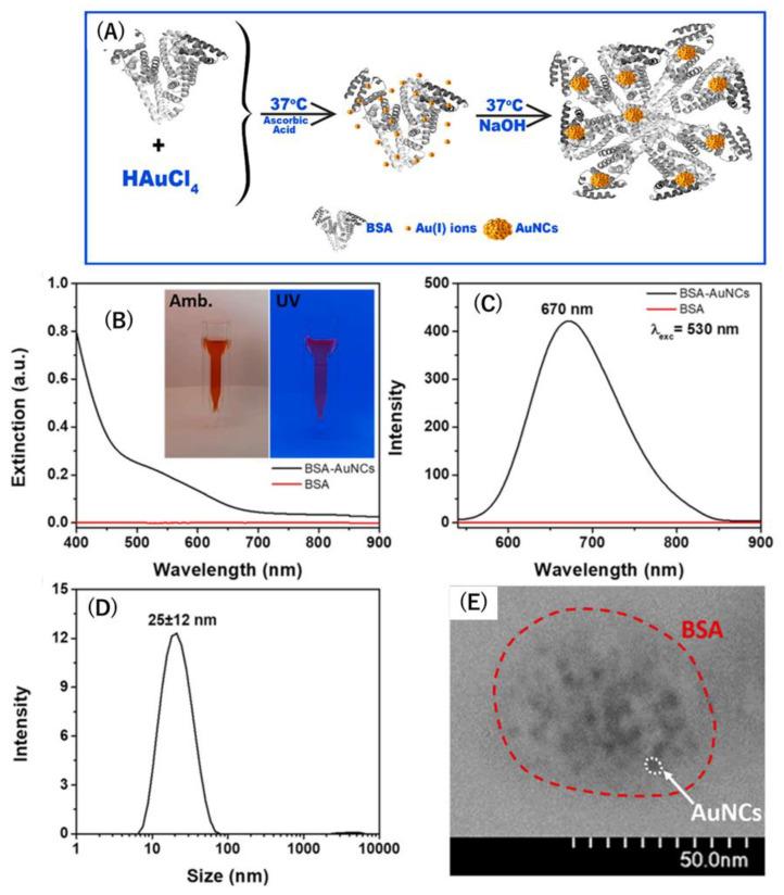 https://cdn.ncbi.nlm.nih.gov/pmc/blobs/6b61/12024575/27f4352f87bf/biosensors-15-00203-g004.jpg